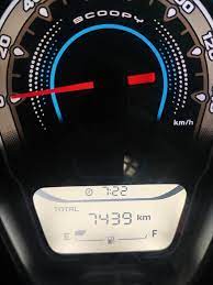 Scoopy Prestige Black